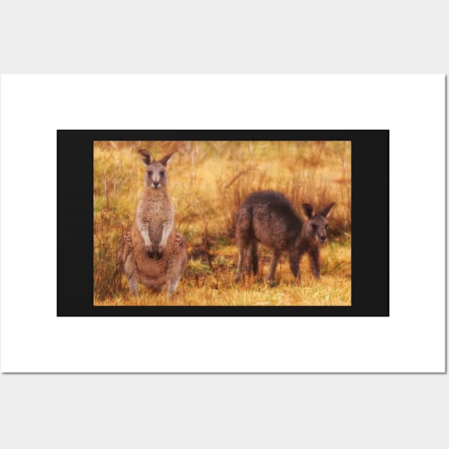 Kangaroos Wall Art by dags